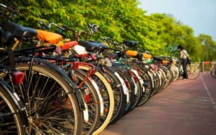 Green Home Cities